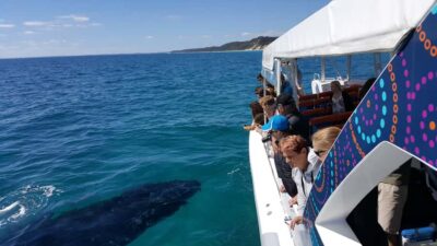 Ultimate Whale Watching Experience