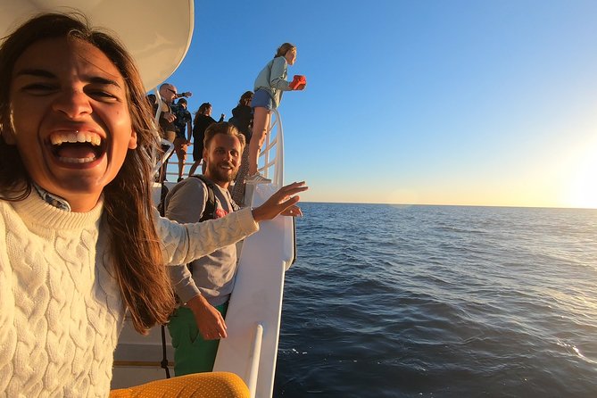 Hervey Bay Whale Watching Experience - The hydrophone and underwater cameras add real value