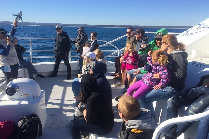 Hervey Bay Whale Watching Experience - Food, drinks, and the practical value of the $111 fare