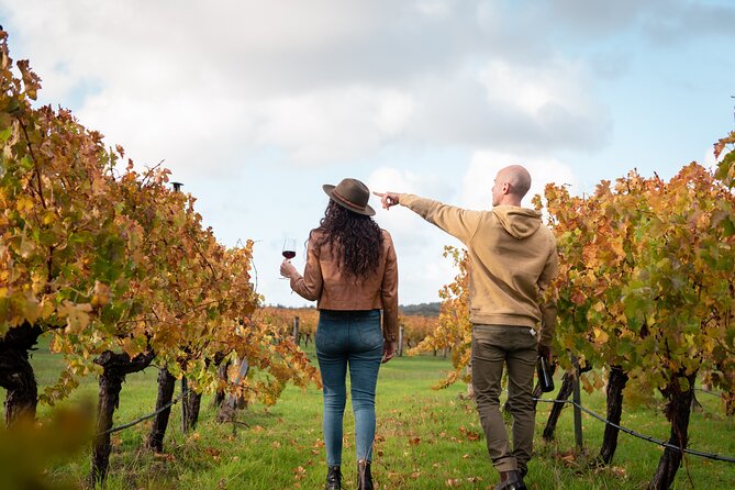 Hidden Gems: Boutique Full-Day Wine, Farm & Lunch Tour - A full day built around local producers