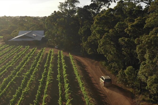 Hidden Gems: Boutique Full-Day Wine, Farm & Lunch Tour - Morning tea with alpacas and emus