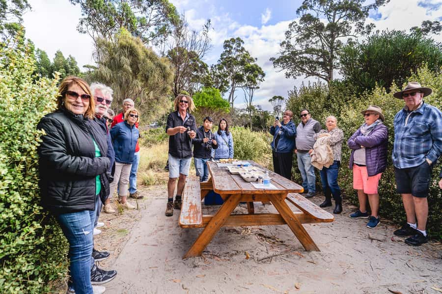 Hobart: Bruny Island Food, Sightseeing & Lighthouse Day Tour - The Neck and its 279-step climb