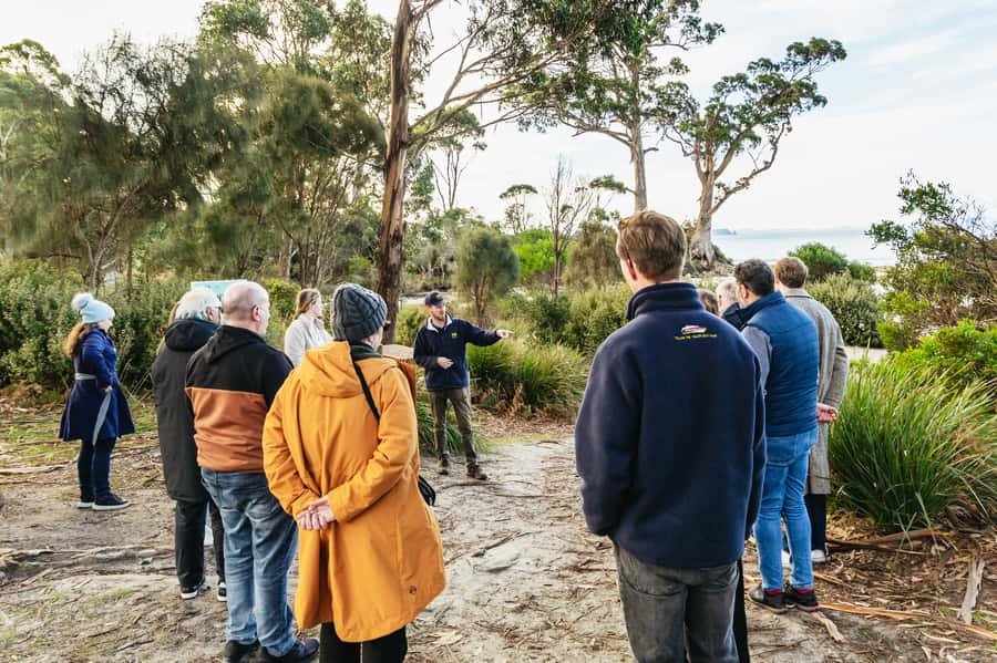 Hobart: Bruny Island Gourmet Sightseeing Day Tour - Key points at a glance