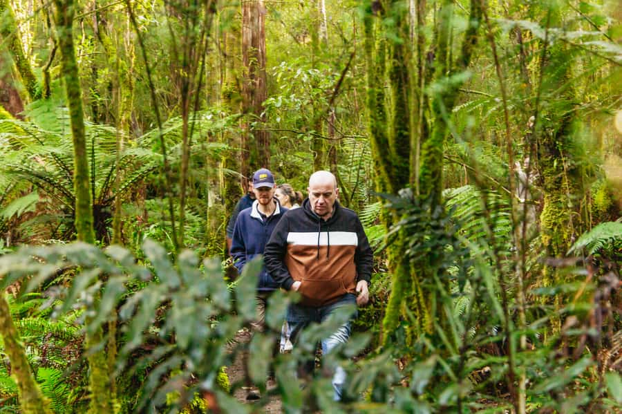 Hobart: Bruny Island Gourmet Sightseeing Day Tour - Cheese, ale and the first island flavours
