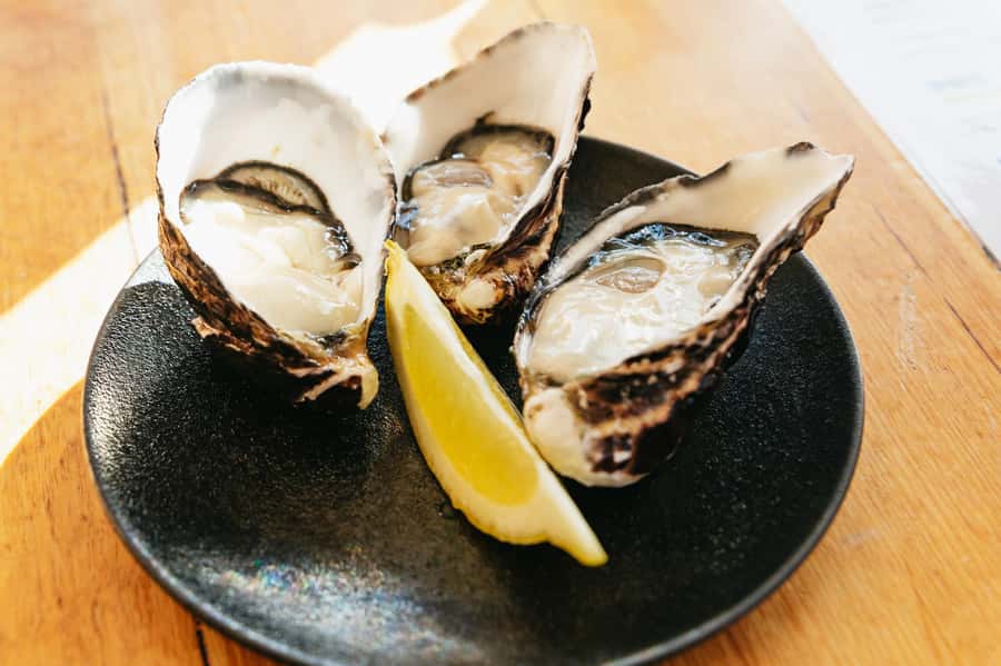 Hobart: Bruny Island Gourmet Sightseeing Day Tour - Bligh Museum and the island’s human story