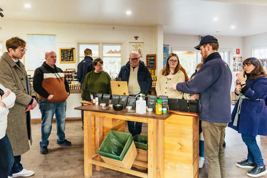 Hobart: Bruny Island Gourmet Sightseeing Day Tour - Honey, mead, fudge and ice cream