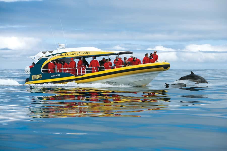 Hobart: Bruny Island Wilderness Coast Eco Cruise with Lunch - Key points to know before you book