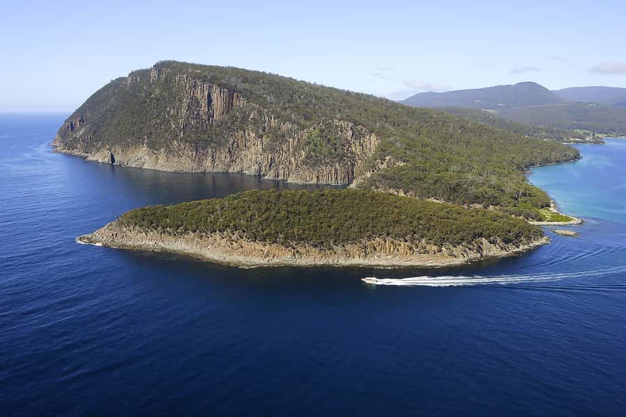 Hobart: Bruny Island Wilderness Coast Eco Cruise with Lunch - The three-hour wilderness cruise from Adventure Bay