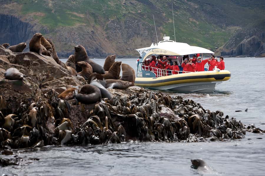 Hobart: Bruny Island Wilderness Coast Eco Cruise with Lunch - Seeing more of Bruny after the boat