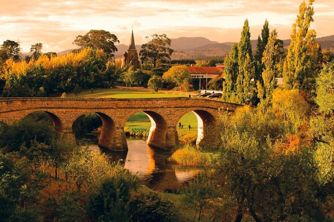 Hobart Highlights Day Tour - The route, minivan, and guide style