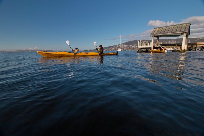 Hobart Kayak Tour - What the city paddle feels like