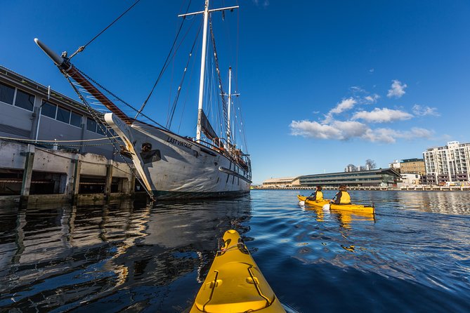 Hobart Kayak Tour - Guides, instruction, and group size