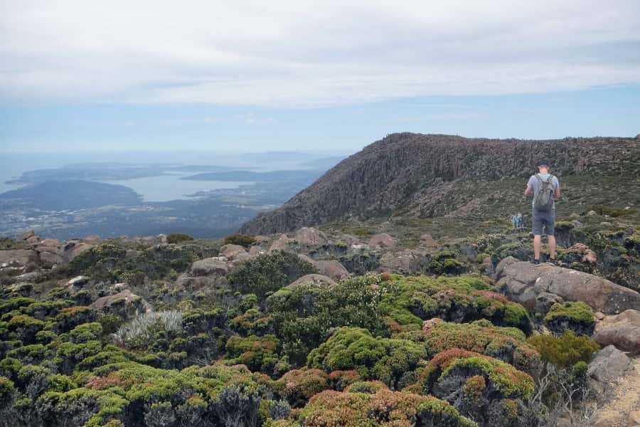 Hobart: kunanyi/Mt Wellington Explorer Bus Pass - The Springs is the best stop for a proper walk