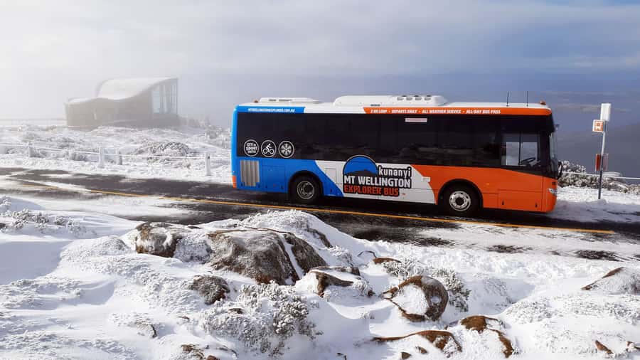 Hobart: kunanyi/Mt Wellington Explorer Bus Pass - At the summit, use your 40 minutes carefully
