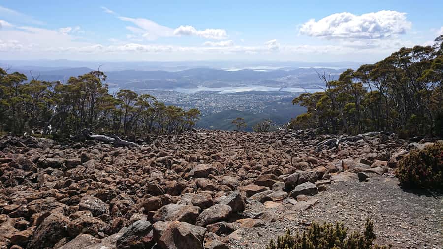 Hobart: kunanyi/Mt Wellington Explorer Bus Pass - Who will enjoy this mountain bus most?