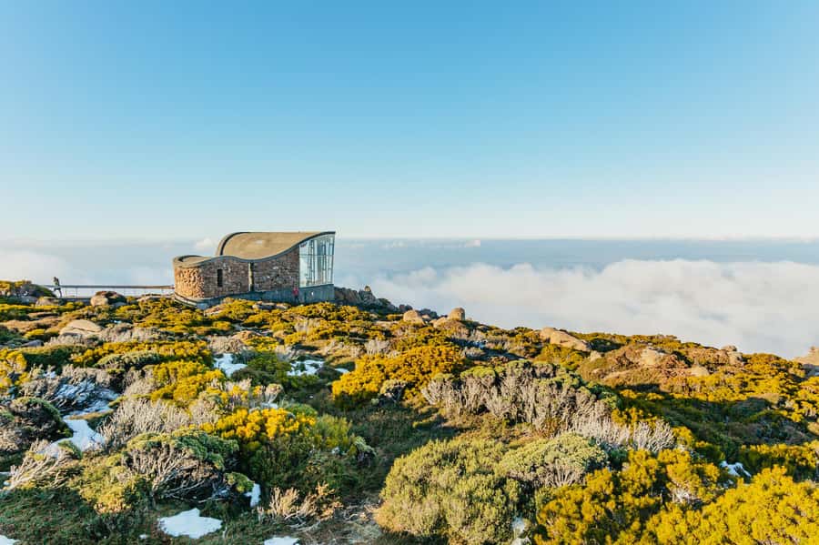 Hobart: Mt Wellington, Mt Field, Bonorong and Richmond Trip - Why this Hobart day trip works so well