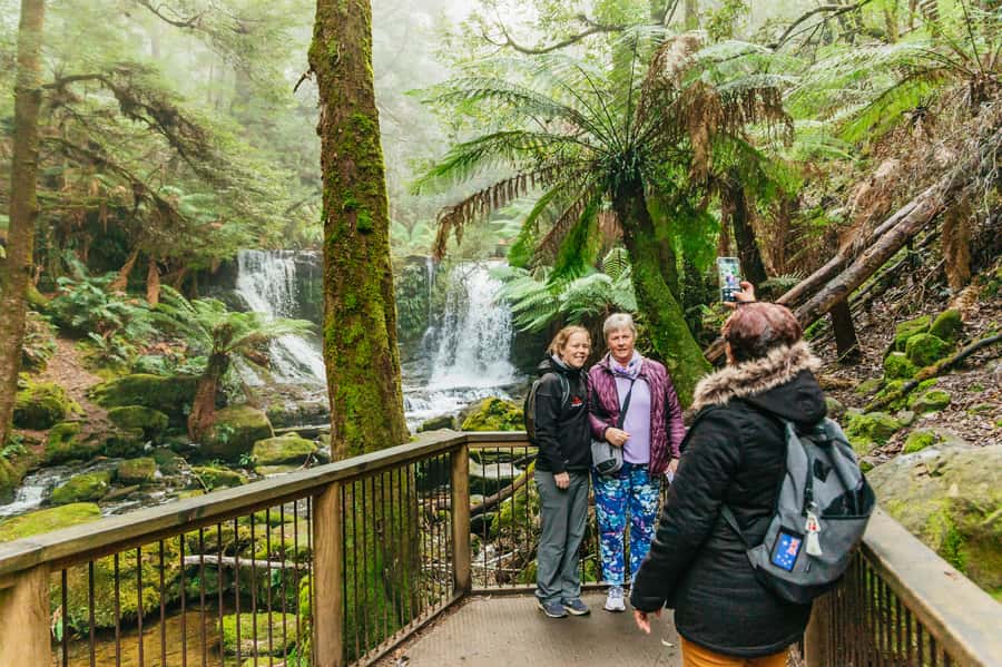Hobart: Mt Wellington, Mt Field, Bonorong and Richmond Trip - Bonorong Wildlife Sanctuary and close encounters with native animals
