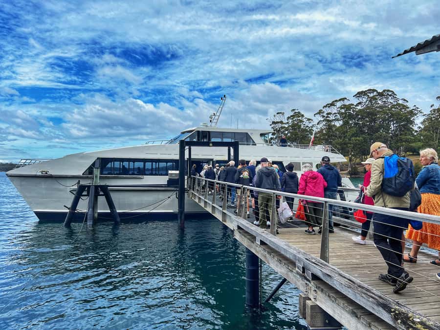 Hobart: Port Arthur & Tasman Park Full-Day Trip with Cruise - Saturday changes the entire itinerary