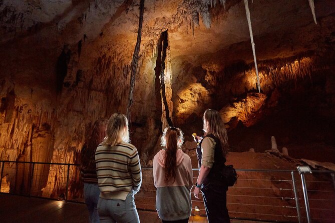 Jewel Cave Fully-guided Tour (Located in Western Australia) - Crystal formations worth slowing down for
