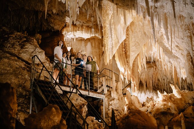 Jewel Cave Fully-guided Tour (Located in Western Australia) - Entering through a cave opened by explorers