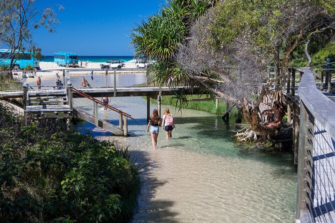 K'gari (Fraser Island) All Inclusive Day Tour - Why this K’gari day tour works