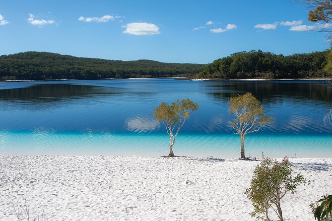 K'gari (Fraser Island) All Inclusive Day Tour - Lake McKenzie: the day’s best swim