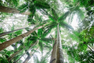K’gari (Fraser Island) Explorer 2-Day Tour