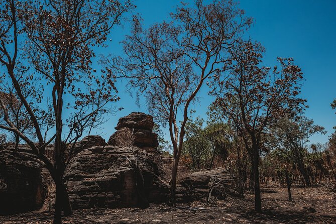 Kakadu Day Tour from Darwin with Offroad Dreaming - Guides who shape the day