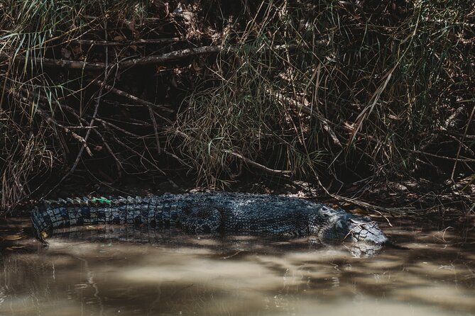 Kakadu Day Tour from Darwin with Offroad Dreaming - Lunch, snacks, and staying comfortable