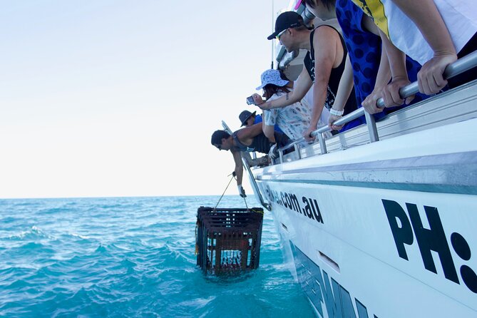 Kalbarri Rock lobster Pot Pull Tour in Kalbarri - Pulling lobster pots from Kalbarri Marina