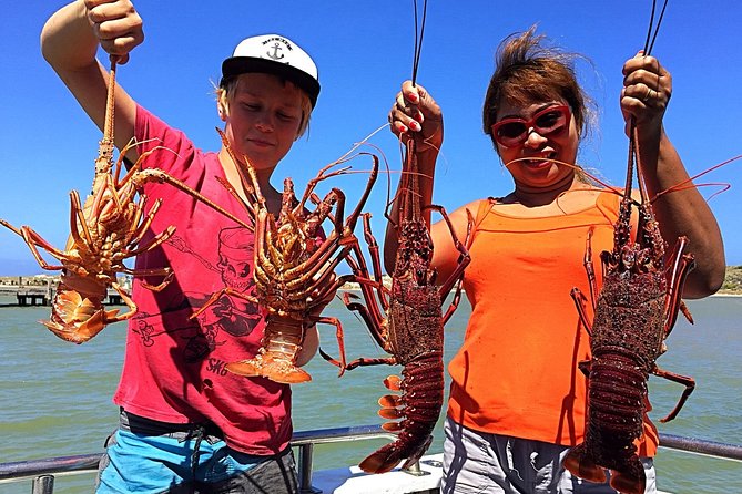 Kalbarri Rock lobster Pot Pull Tour in Kalbarri - Price, timing, and the small print