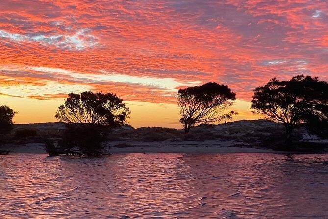 Kalbarri Sunset Coastal Cliff Cruise - Wildlife adds an unpredictable bonus