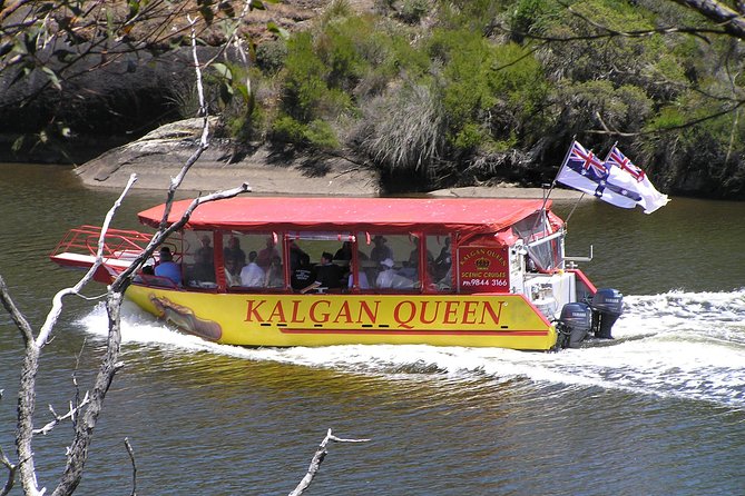 Kalgan Queen Scenic Cruises a four hour sheltered water wildlife tour daily fun. - Kalgan Queen Scenic Cruises at a Glance