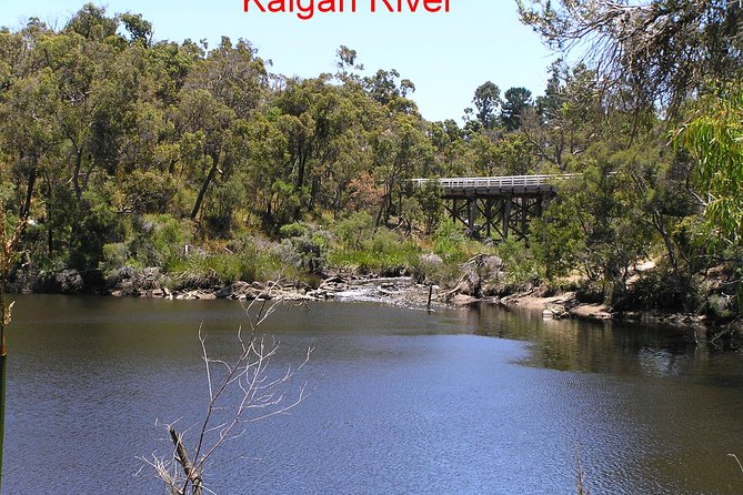 Kalgan Queen Scenic Cruises a four hour sheltered water wildlife tour daily fun. - Is Four Hours the Right Length?