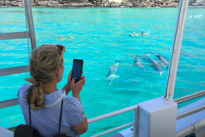 Kangaroo Island 75-Minute Coastal Safari - Leaving Christmas Cove and finding the wildlife