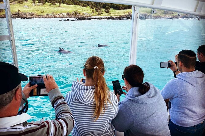 Kangaroo Island 75-Minute Coastal Safari - Winter whales and the limits of wildlife watching