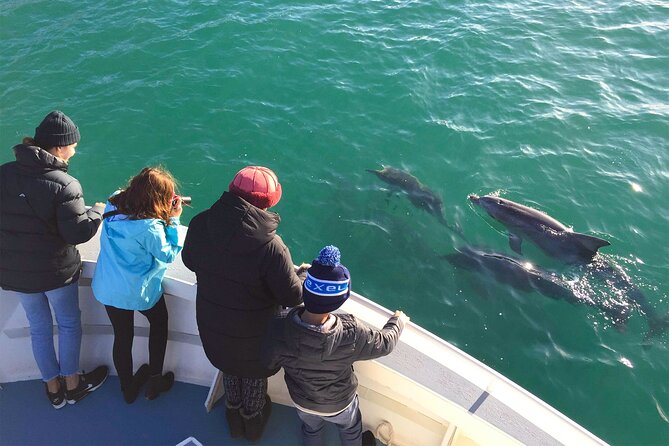 Kangaroo Island 75-Minute Coastal Safari - Is $63.12 good value for 75 minutes?