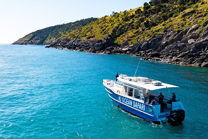 Kangaroo Island: 75-Minute Coastal Safari - Searching for dolphins beside the boat