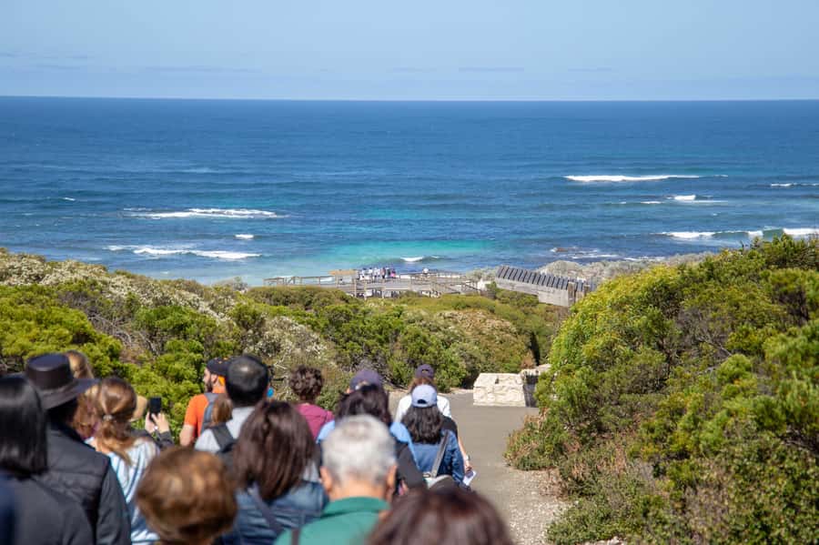 Kangaroo Island Full Day Experience by Ferry Including Lunch - What to bring and how to prepare