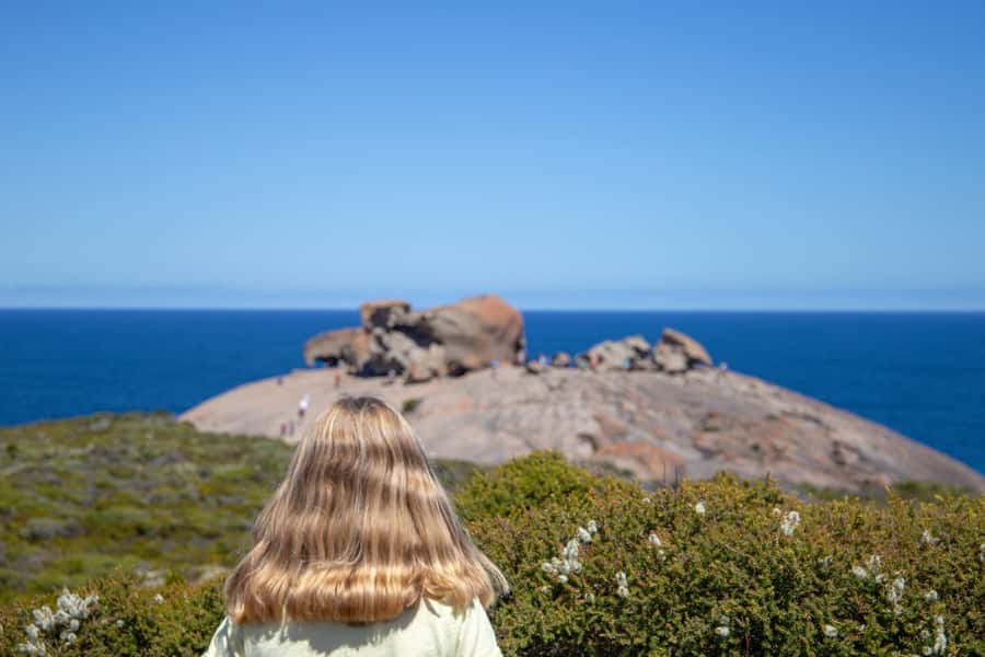 Kangaroo Island Full Day Experience by Ferry Including Lunch - Why this tour makes sense from Adelaide