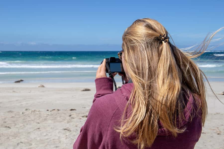 Kangaroo Island Full Day Experience by Ferry Including Lunch - Wildlife beyond the coast
