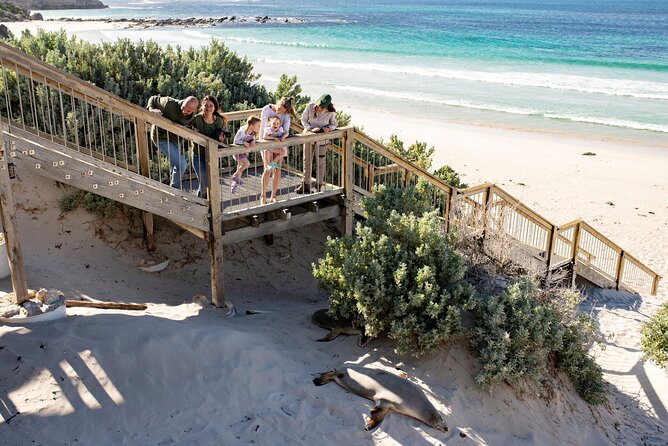 Kangaroo Island in a Day Tour from Adelaide - Why this Kangaroo Island tour is such a full day