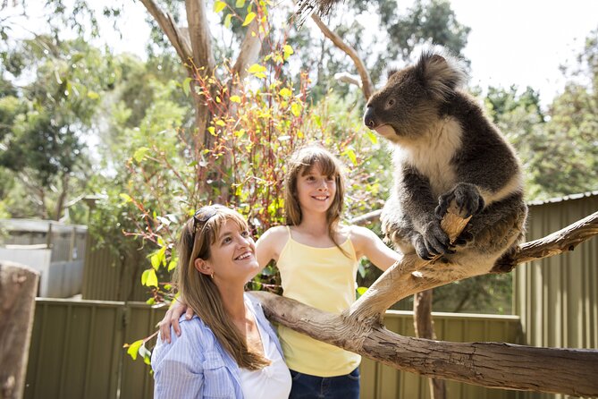 Kangaroo Island in a Day Tour from Adelaide - Cape du Couedic, Admirals Arch, and long-nosed fur seals