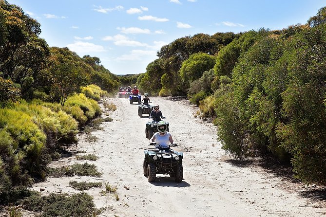 Kangaroo Island Quad Bike (ATV) Tours - Riding through Kangaroo Island’s bush at Vivonne Bay