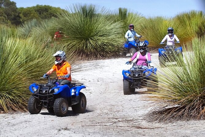 Kangaroo Island Quad Bike (ATV) Tours - Families, older riders, and complete beginners