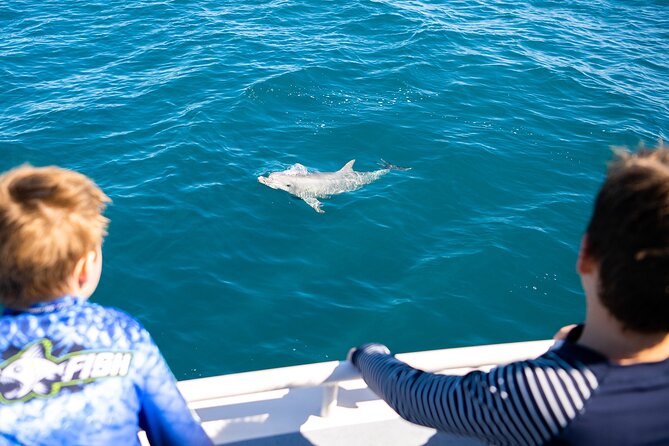 Kangaroo Island - Swim with Dolphins/Seals/Coastal Snorkel - The best time of year for seals and dolphins