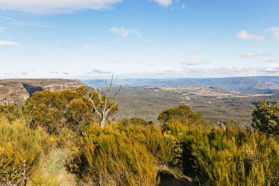 Katoomba: Lyrebird Hop-On Hop-Off and Scenic World Pass - Take the 9:15 AM bus for a useful orientation