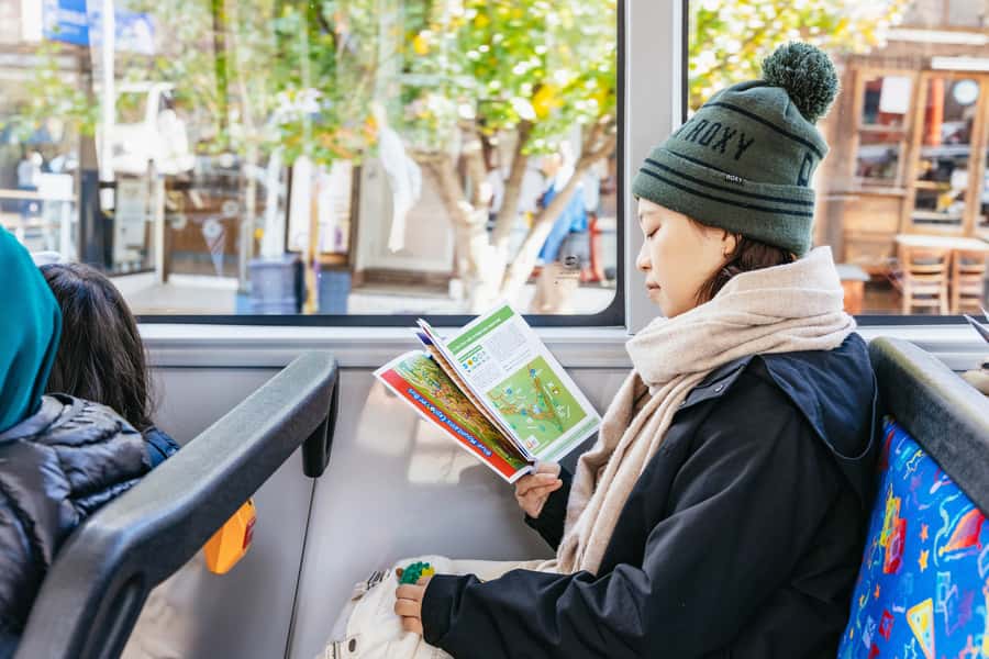 Katoomba: Lyrebird Hop-On Hop-Off and Scenic World Pass - Ride the Cableway back above the valley
