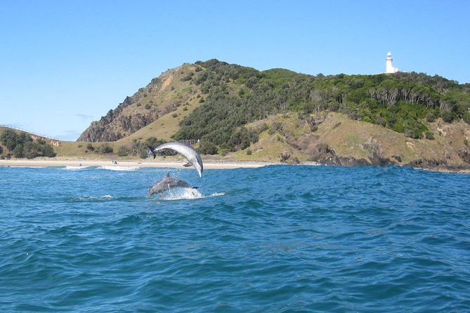 Kayaking with Dolphins in Byron Bay Guided Tour - Why this kayak trip is special in Byron Bay