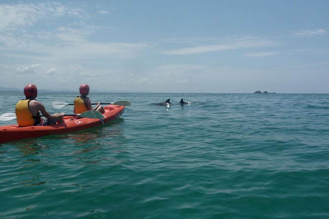 Kayaking with Dolphins in Byron Bay Guided Tour - The first paddle through Cape Byron Marine Park